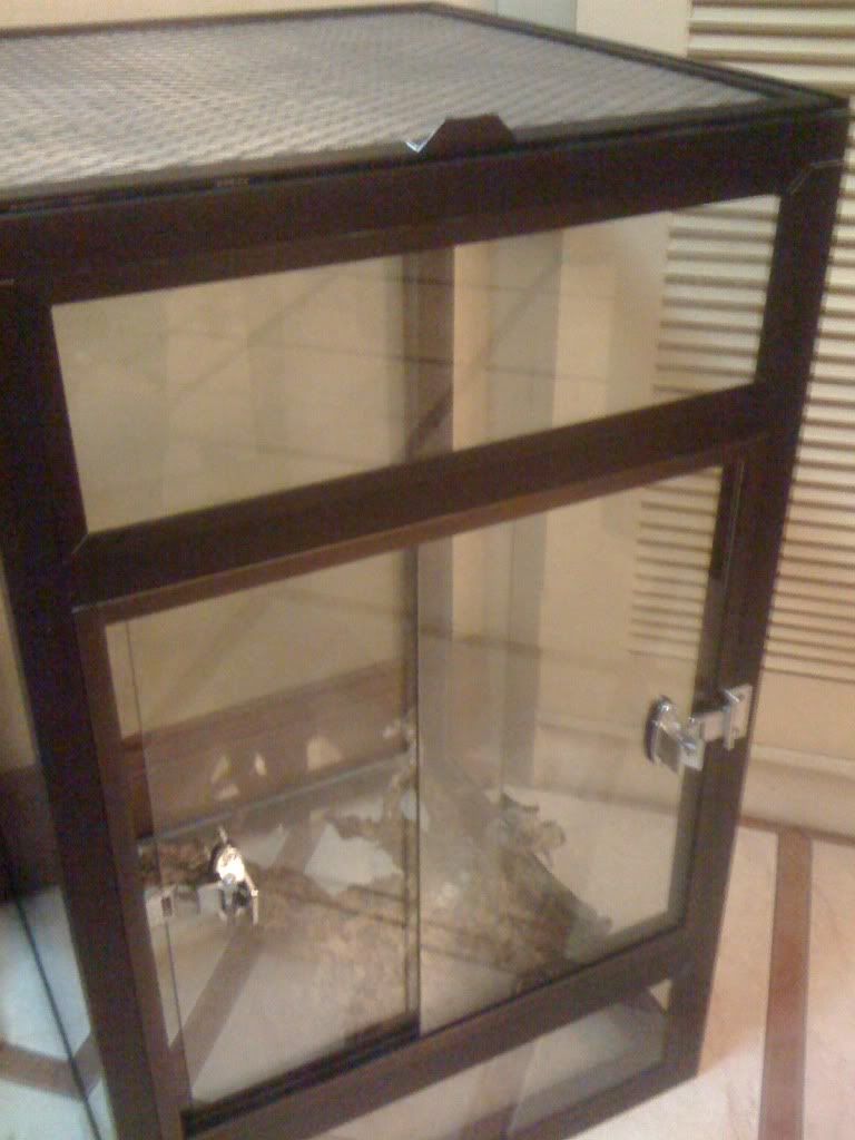 For Sale VivariumEnclosureAquariumCages For SaleJava Cebu